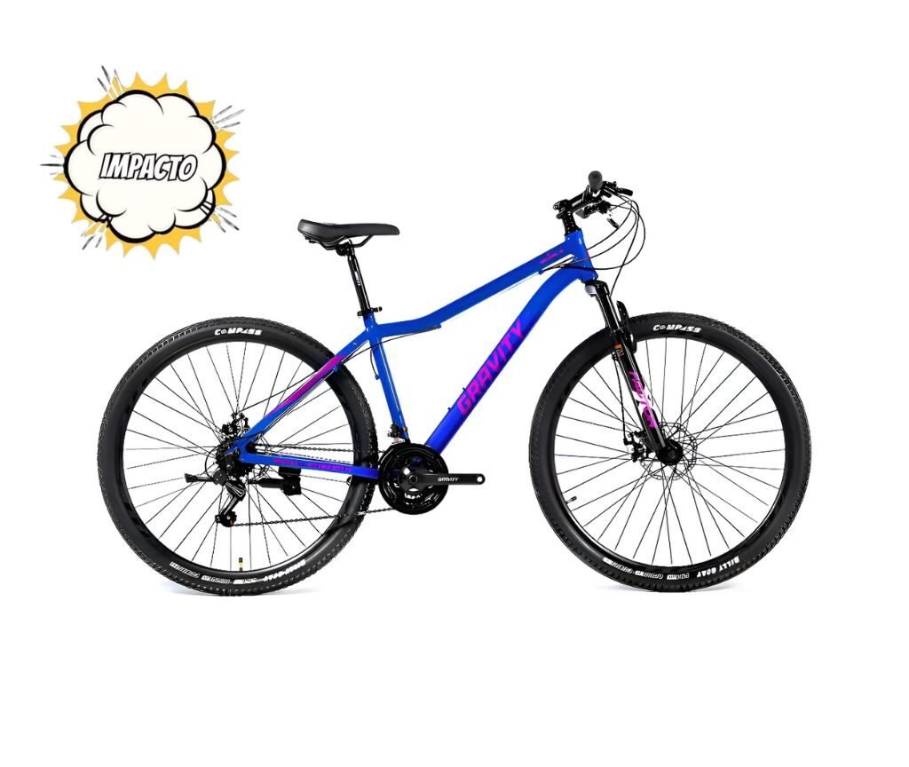 Mountain Bike Gravity Guirla R29