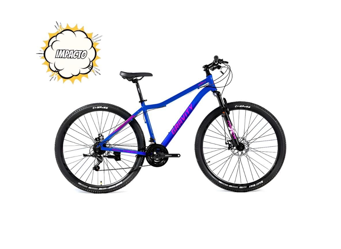 Mountain Bike Gravity Guirla R29
