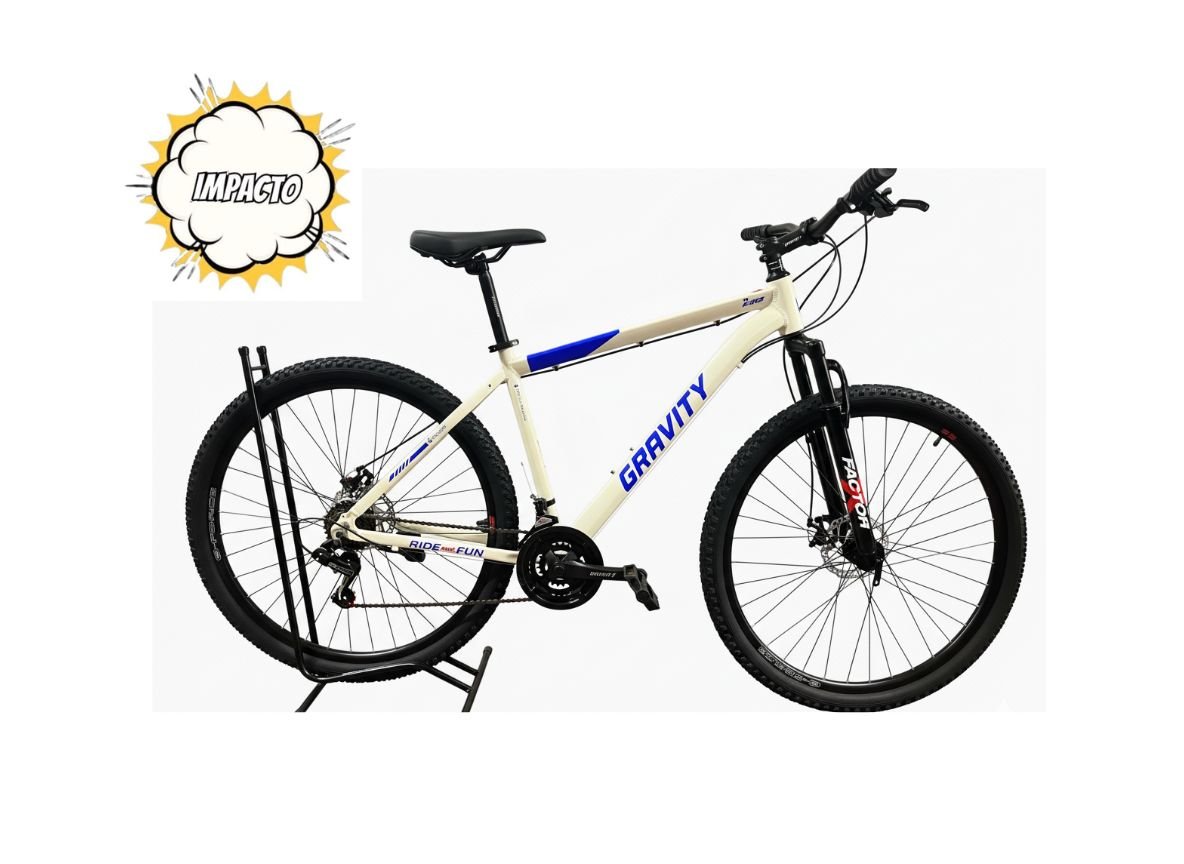 Mountain Bike Gravity Benz R29