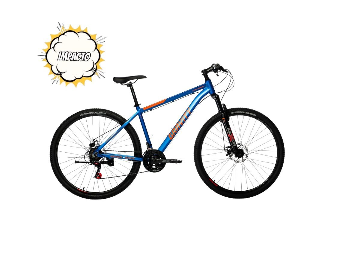 Mountain Bike Gravity Low Rider R29