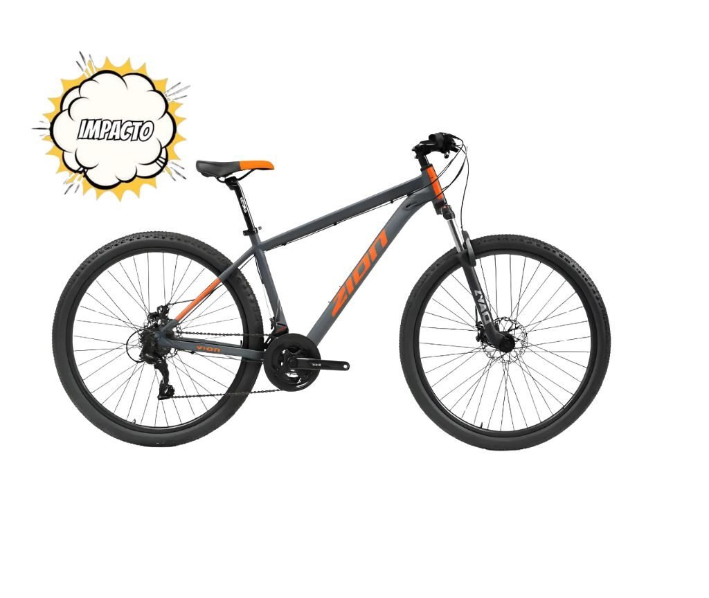 Mountain Bike Zion Aspro R29