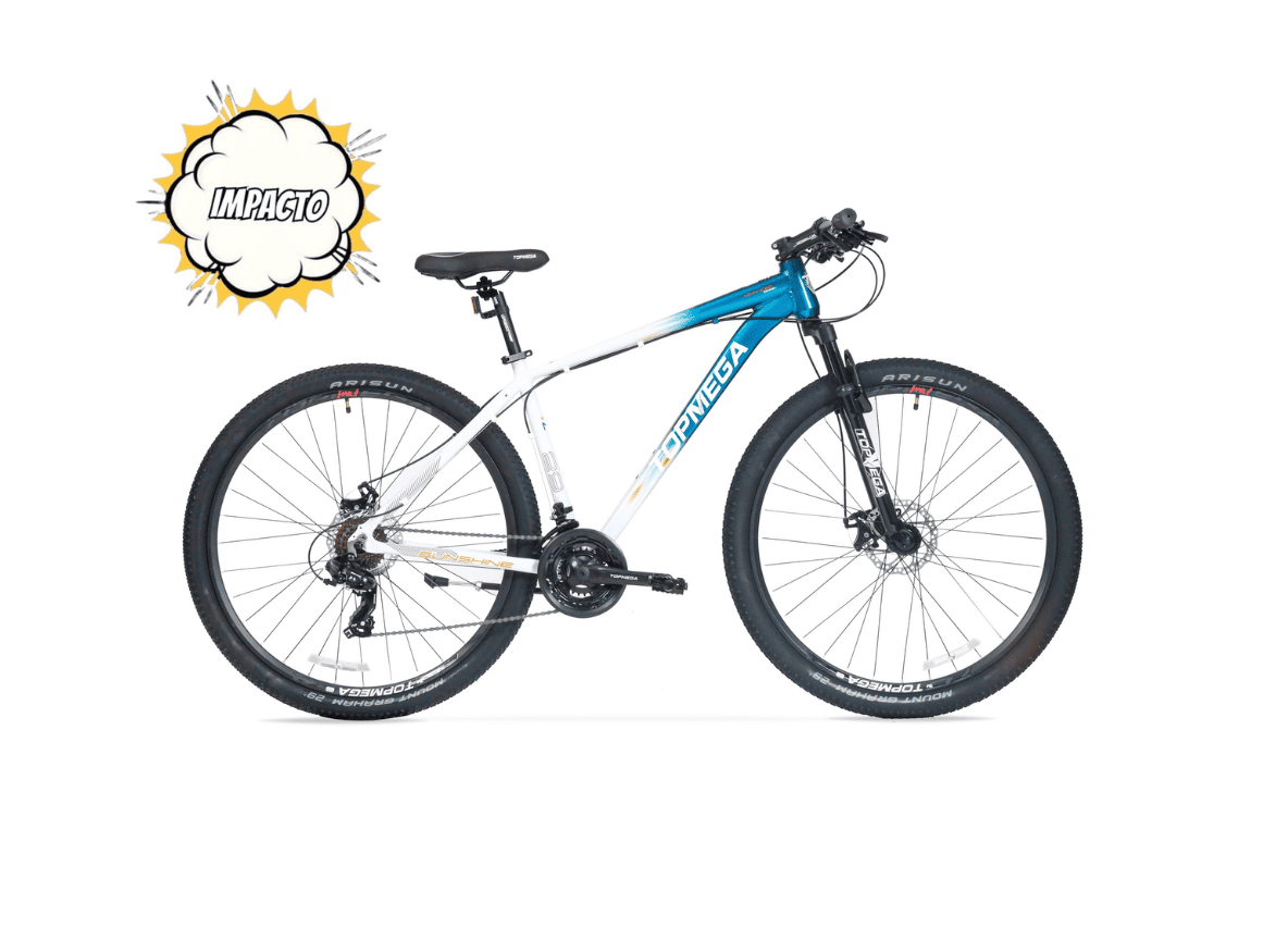 Mountain Bike Topmega Sunshine R29 - Imagen 2