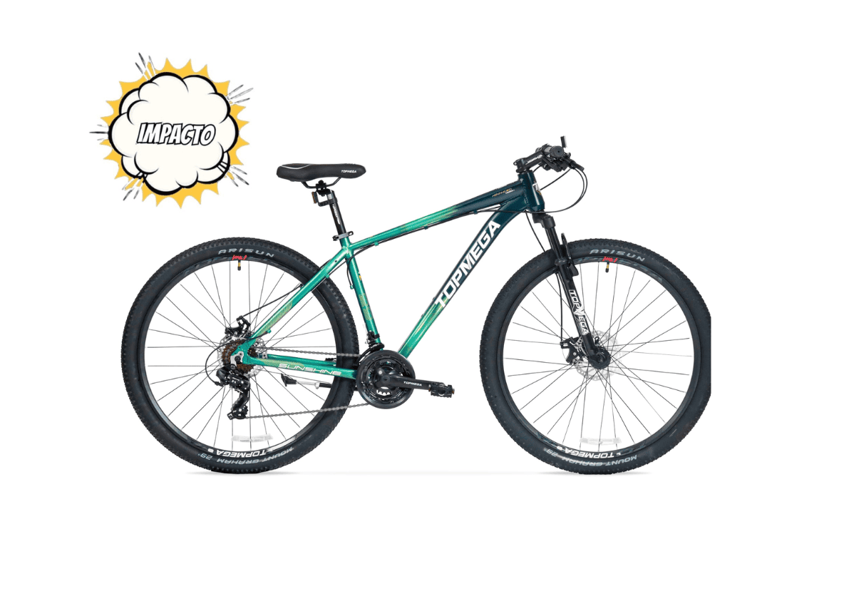 Mountain Bike Topmega Sunshine R29